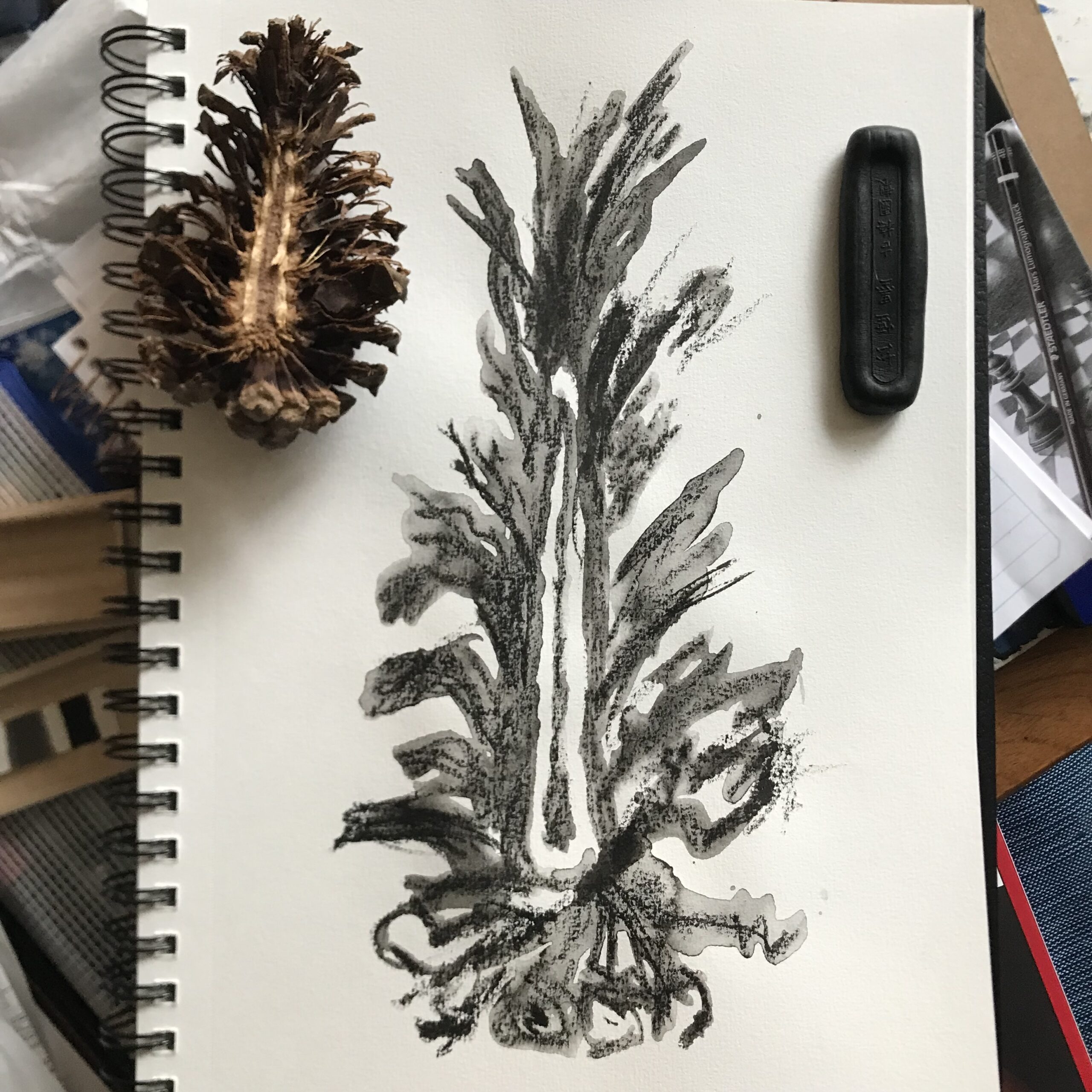 Inner Pine Cone