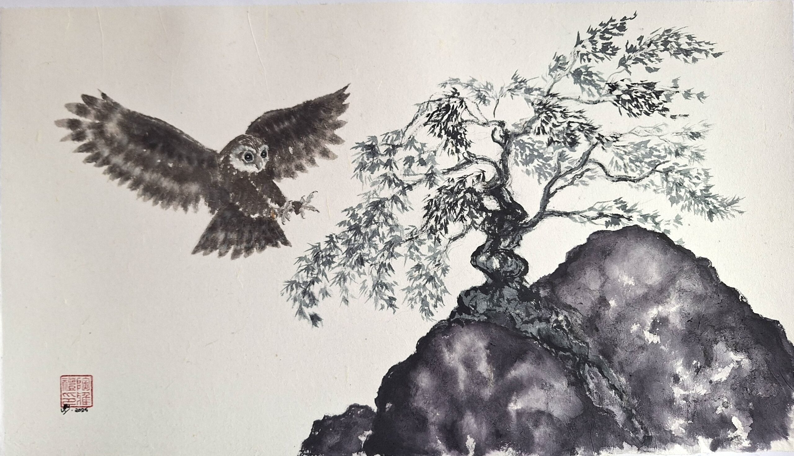 Boobook Owl & Willow Tree