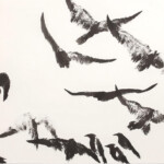 After Masahisa Fukase by Christiane Boesch