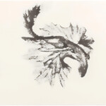 Untitled by Christiane Boesch