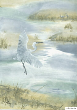 Egrets at Dusk by Arlo Mercia