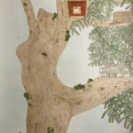 Dancing in Harmony with Nature / 現、未、過 by Eva Tsang