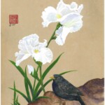 Blackbird with White Iris by Arlo Mercia