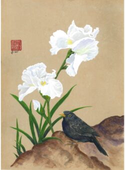 Blackbird with White Iris by Arlo Mercia