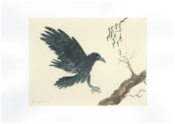 An Australian Forest Raven and Eucalyptus branch( Raw (unsized ) Kumohada-mashi paper ) 
