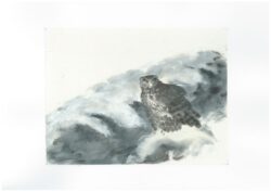 Blakiston's Fish Owl ( Raw Shiro-mashi paper ) Painted with Toukaen Paulownia Oil ink for the owl and Suibokugayou Aozumi ink for the water with white for snow and yellow. Arlo Mercia