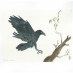 An Australian Forest Raven and Eucalyptus branch ( Raw Shiro-mashi paper ) Painted with Suibokugayou Aozumi and Saibiboku Arlo Mercia
