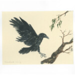 An Australian Forest Raven and Eucalyptus branch ( Sized Kumohada-mashi paper ) Painted with Suibokugayou Aozumi and Saibiboku Arlo Mercia