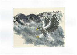 Steller Sea Eagle ( Sized Kumohada-mashi paper ) Painted with Toukaen Paulownia Oil ink, Suibokugayou Aozumi, Teiou Shiboku ink Arlo Mercia