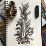 Inner Pine Cone
