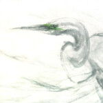 Windblown Great Egret
